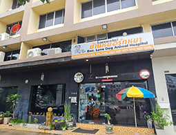 SARAYA case study about Removing Dirt and Odors in a Veterinary Hospital with Sanipaster in the Doc. Love Dog Animal Hospital, in 83/4-6 Chaeng Watthana Rd, Thung Song Hong, Lak Si, Bangkok 10210, Thailand.