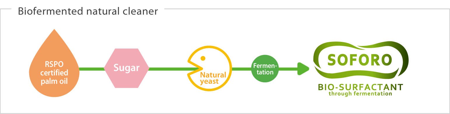 This diagram illustrates how Soforo is made. RSPO certified palm oil and sugar are consumed by natural yeast, fermenting them to produce a bio-surfactant component, soforo.