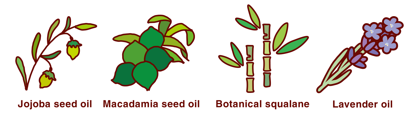 These images illustrate the botanical ingredients used in arau.baby. They are jojoba seed oil, macadamia seed oil, botanical squalane, and lavender oil.