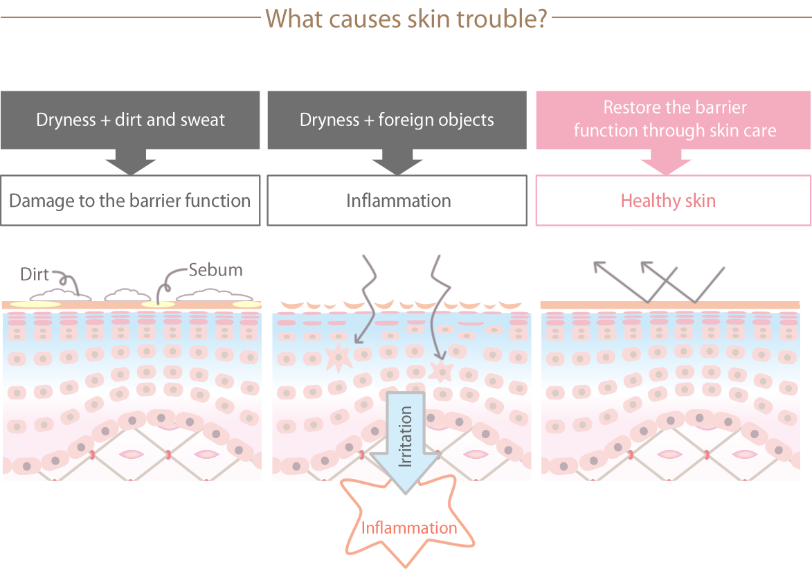 This image describes how skin irritation occurs. When the skin is cared for and the barrier function is restored, the skin becomes healthy again and protects itself from stimuli.