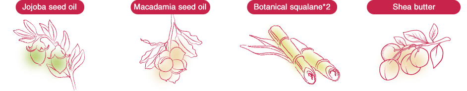 Natural protection components formulated in arau.baby Maternity Cream. They are jojoba seed oil, mcadamia seed oil, botanical squalane, and shea butter.