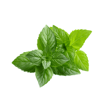 Peppermint
