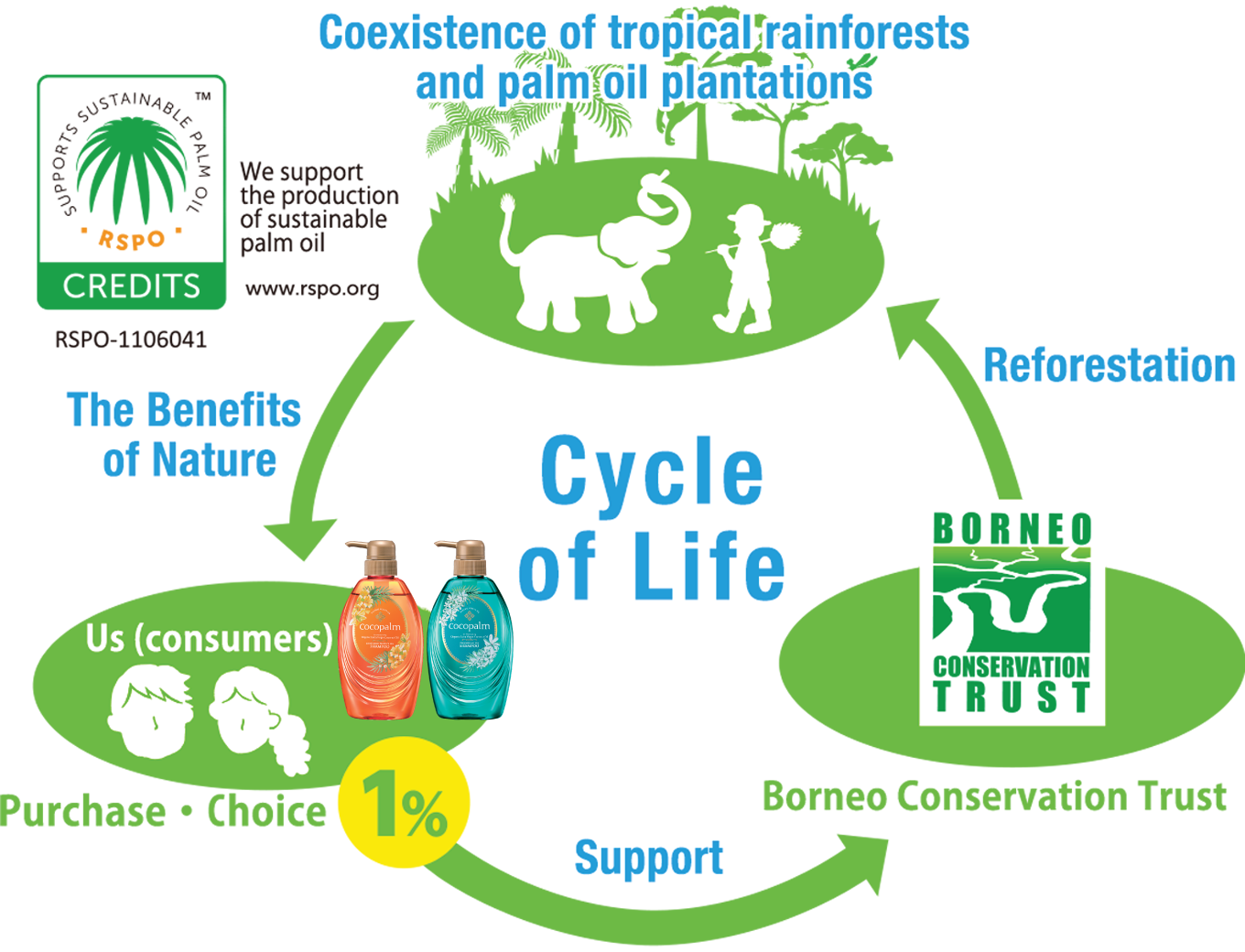 The circle of life that Cocopalm supports. RSPO credits and donations to the Borneo Conservation Trust help protect nature.