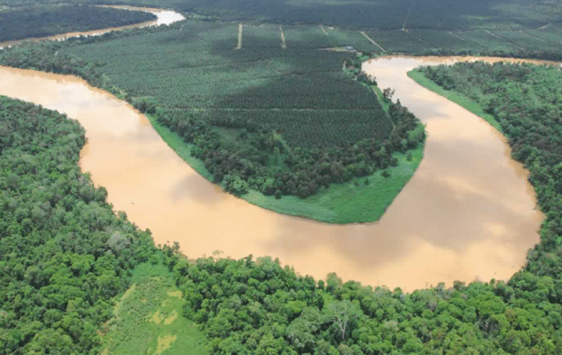 Kinabatangan river in Borneo, a river we are working activaly to protect with donations from Cocopalm.