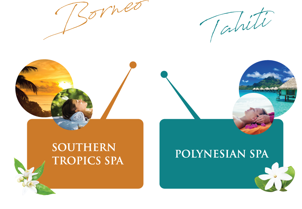 Enjoy a a southern tropics spa from Borneo and a polynesian spa from Tahiti with Cocopalm.