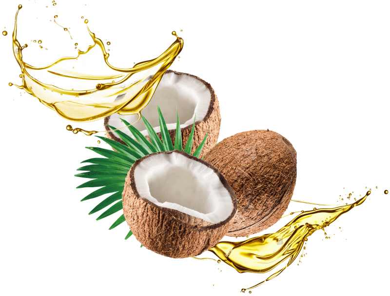 Cocopalm contains a luxurious, high quality blend of organic Extra Virgin coconut oil.