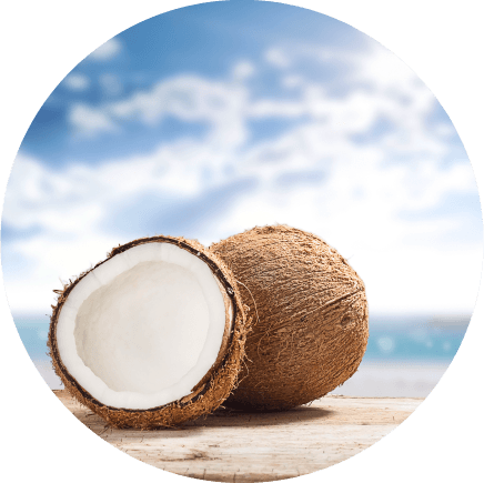 Coconut oil, rich in lauric acid, protects your hair from losing its proteins.