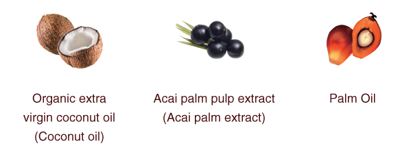 Cocopalm Southern Tropics Spa Treatment is made with organic extra virgin coconut oil, acai palm and palm oil.