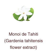 Cocopalm Polynesian Spa Shampoo is made with Monoi de Tahiti (Gardenia tahitensis flower extract).