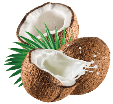Cocopalm Southern Tropics Spa is made with organic coconut milk.