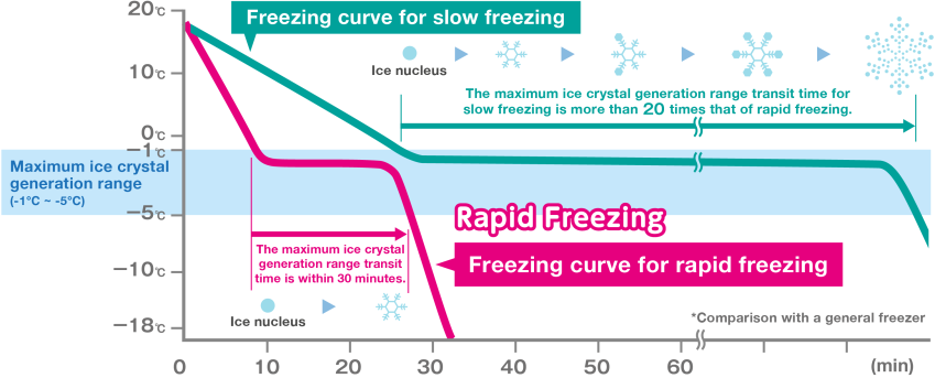 Freezing time comparison between Rapid Freezer and standard slow freezing