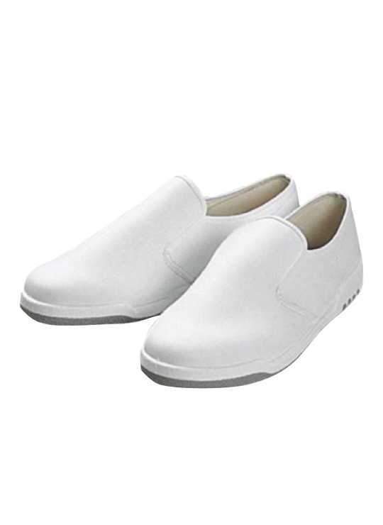 Hygienic Shoes