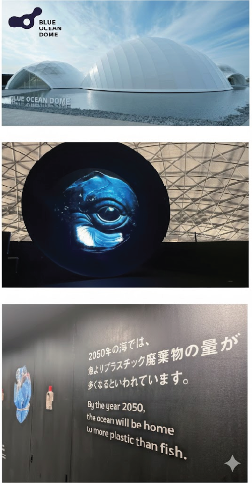 Blue Ocean Dome images