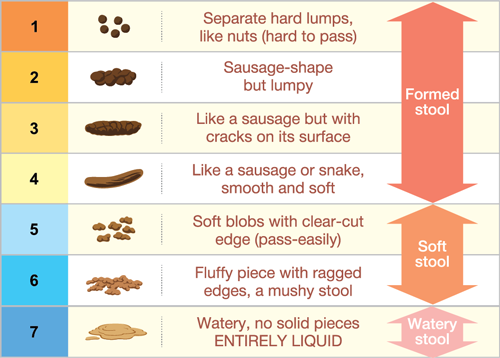 Bristol Stool Chart