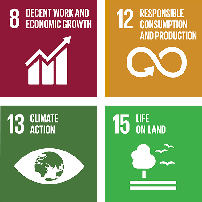 sdgs we are targeting with our environmental activities.