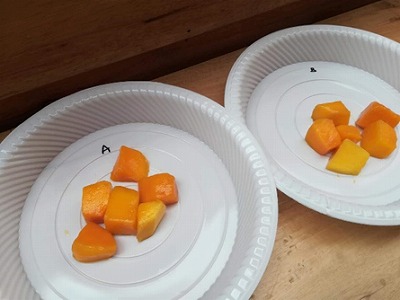 Mango test with Rapid Freezer
